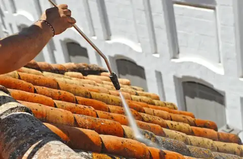 Nettoyage de toitures - Mardié